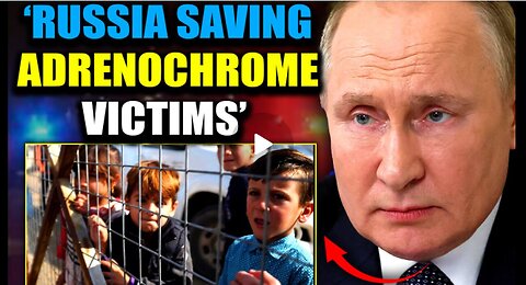 🇷🇺 Putin Vows To Shut Down Hollywood Adrenochrome Supply Chain