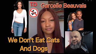 Garcelle Beauvais We Don't Eat Cats And Dogs