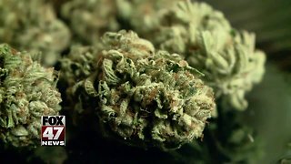 Recreational marijuana forum Monday