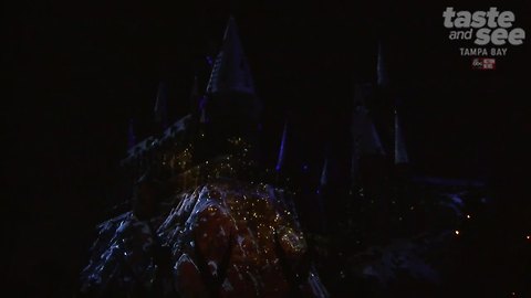 Christmas in The Wizarding World of Harry Potter at Universal Orlando