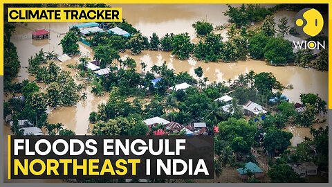 Heavy rains cause flash floods in India's northeastern states | WION Climate Tracker | WION News