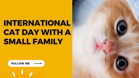 International cat day with a small family