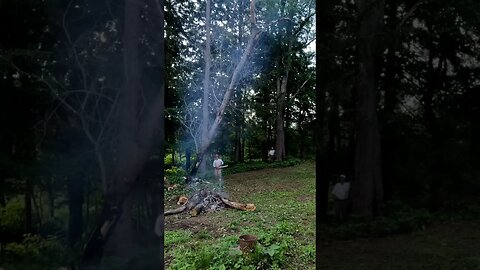 Cutting down a tree.