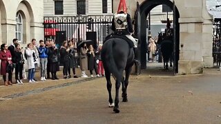 Dismount the Horse #horseguardsparade