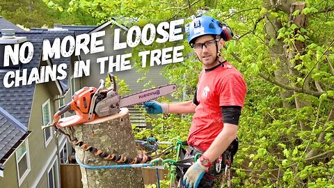 Arborist Pro Tip - Be equipped to tension a loose chain in the tree