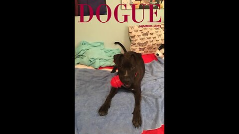 Duke on Dogue!