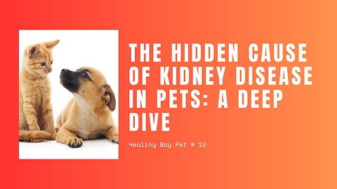 The Hidden Cause of Kidney Disease in Pets: A Deep Dive (Pt. 1)