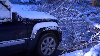 Heavy snow is weighing down tree branches, power lines around Denver