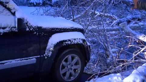 Heavy snow is weighing down tree branches, power lines around Denver