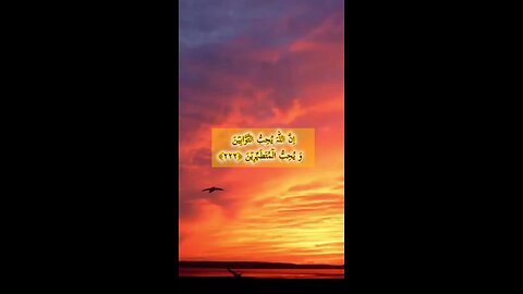 beautiful Quran recitation with translation