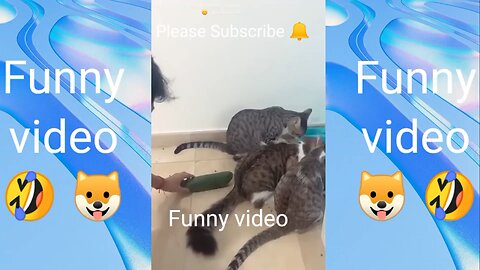 😂😂Super funny Animal Videos 😂😂