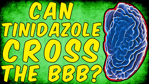 Can Tinidazole Cross The Blood Brain Barrier? - (Science Based)