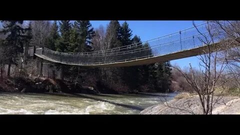 Kenora - Rainy River, Northern Ontario Party Riding