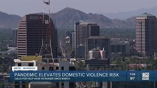 Pandemic elevates domestic violence risk