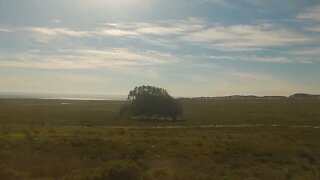 Amtrak Coast Starlight on the Pacific Coast