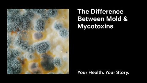 The Difference Between Mold and Mycotoxins