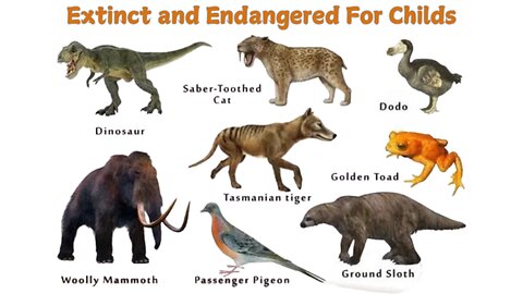 Extinct and Endangered Animals for Childs | What we can do to protect endangered species