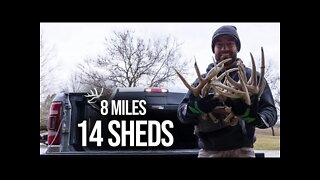 8 Miles - 14 SHEDS!