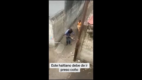 HAITIANO MALDITO MALTRATADOR DE ANIMALES