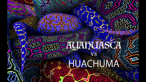 Ayahuasca vs Huachuma 死藤水与迷幻仙人掌的比较