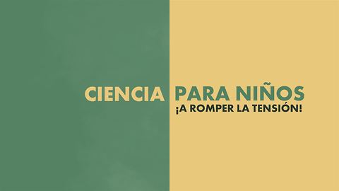 Ciencia para niños: la tensión superficial