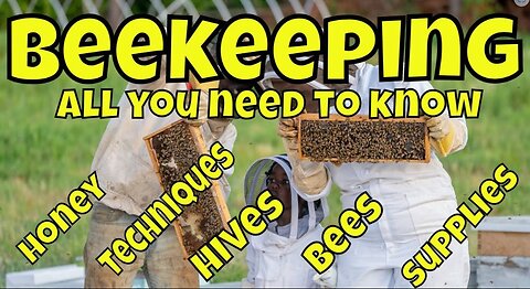 Beekeeping for Beginners - All You Need to Know to Start