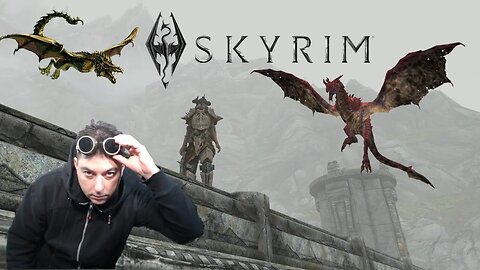 SKYRIM This Dragonborn Is Adventuring