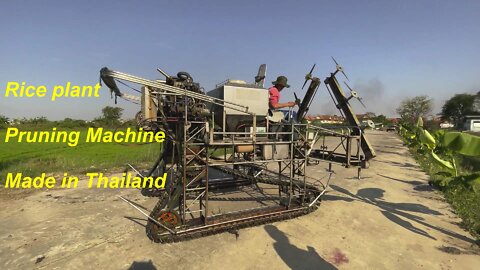 Rice plant pruning machine made in Thailand