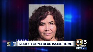 Six dogs found dead inside home