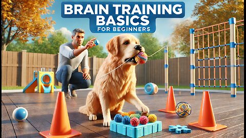 Essential Brain Training Exercises For Beginners