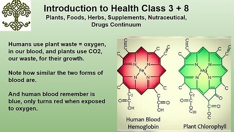 Personal Alkemy Introduction to Health Review Class 3 of 10 December 14 2023 - Personal Diets