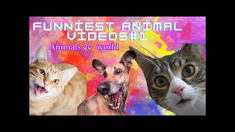 Trending"Laugh out Loud: Funny Animal Compilation of the Week!