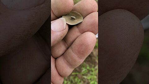 Button #6 #metaldetecting #shorts