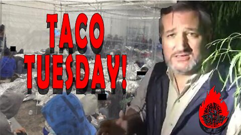 Taco Tuesday: Ted Cruz goes Croc Hunter!