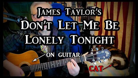 James Taylor's Don't Let Me Be Lonely Tonight on Guitar (with my cat)