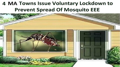 Four MA Towns Issue Voluntary Lockdown To Prevent Spread of Mosquito Disease