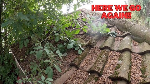 Trees In The Way! BAD Access! Customer STUNNED At The Transformation! Just Another Day Roof Cleaning