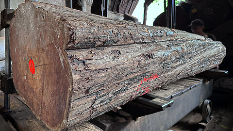 Tectona Grandis Wood Processing