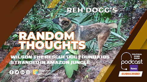 Wilson the Rescue Dog Found Kids Stranded in Amazon Jungle