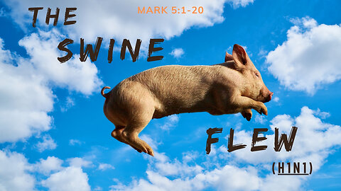 "The Swine Flew" Mark Chapter 5:1-20