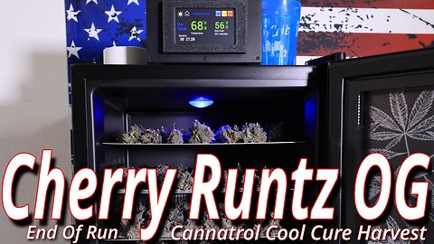 Cherry Runtz OG: A Cannatrol Cool Cure Harvest