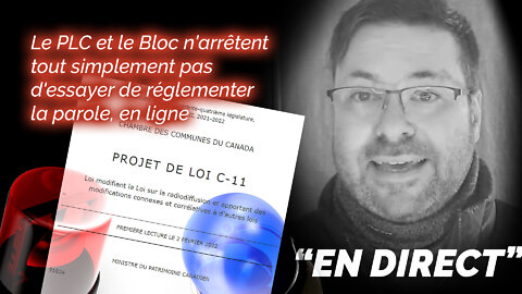 Mon "direct" du lundi, 4 avril 2022 à propos du projet de loi C-11 "de censure d'internet"