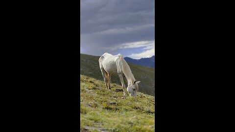 Naran Pakistan