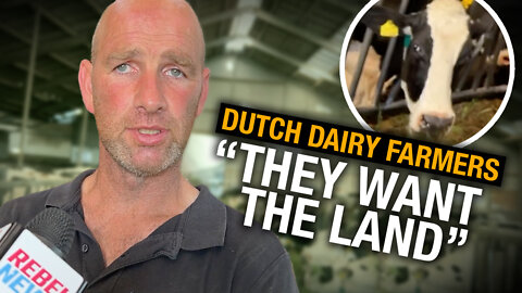 INTERVIEW: Dutch dairy farmer explains the impact of government's radical green agenda