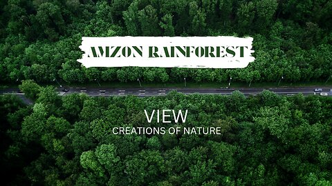 Amazon wildlife | Amazon rainforest | world of the wild | Amazon jungle