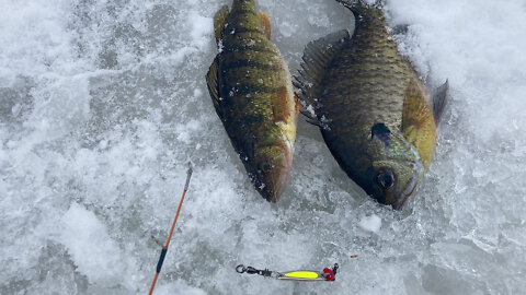 Special Pounding Technique For Ice Fishing