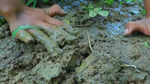 2Catch a lot of eels in the ground | cook ells with peppers for eat in forest-Eating delicious0 1