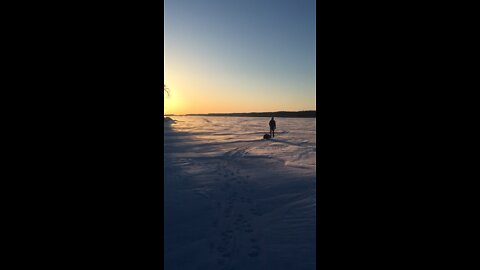 Sled pulling on frozen river