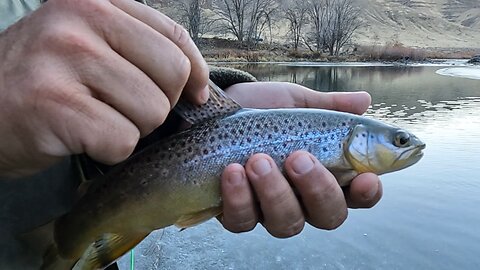 Fishing W/ Dad: East Oregon Early Winter Browns