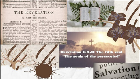 The Book of The Revelation of Jesus Christ Revelation 6:9-11 The Fifth Seal